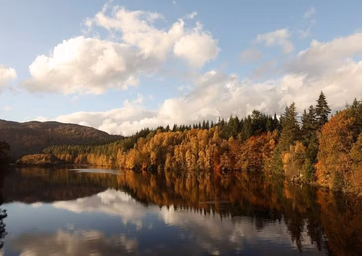 Sắc vàng mùa thu được phản chiếu trên hồ Loch Faskally ở Pitlochry, Scotland, ngày 26/10. (Ảnh: REUTERS)