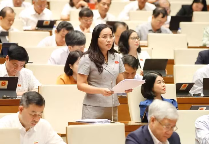 Đại biểu Quốc hội tỉnh Bắc Kạn Hồ Thị Kim Ngân. (Nguồn: TTXVN)