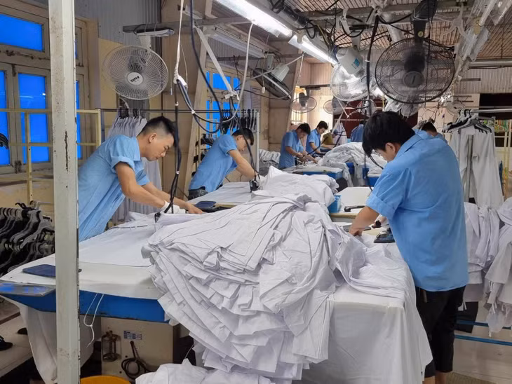 Lao động trong lĩnh vực dệt may.