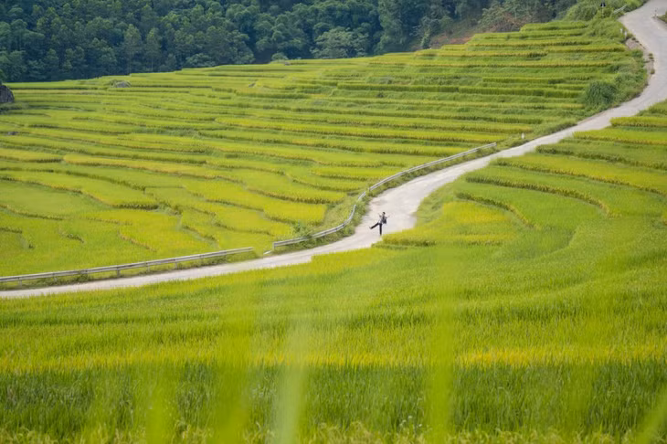 Ruộng bậc thang “cõng” những bông lúa xanh trĩu nặng uốn lượn quanh các sườn đồi, tựa như dòng nước xanh rì chảy qua những mái nhà sàn đơn sơ. Khí hậu vào hè của Pù Luông rất mát mẻ, do đó đây còn là địa điểm trốn nóng yêu thích của nhiều du khách. Không gian bao la, trong lành và yên bình nơi đây thích hợp để khách du lịch nghỉ ngơi hoặc đi bộ, lái xe khám phá. Đường đi cũng rất dễ dàng di chuyển.