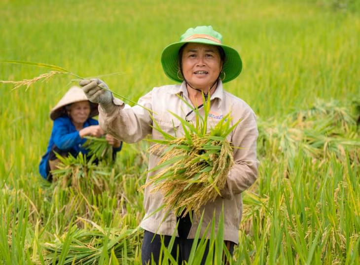 Cuộc sống ở bản Đôn có sự gắn kết, hòa hợp giữa con người với thiên nhiên. Pù Luông là nơi sinh sống của cộng đồng người dân tộc Thái, Mường. Theo tiếng Thái, Pù Luông nghĩa là đỉnh cao nhất của làng. Người dân Pù Luông cần cù trồng cây, hái trái và rất mến khách.