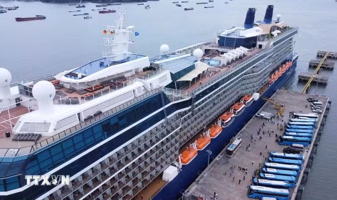 Ngày 13/11/2023, siêu du thuyền Celebrity Solstice (quốc tịch Malta) đã cập Cảng tàu khách quốc tế Hạ Long, đem theo gần 2.700 du khách châu Âu, Mỹ. (Ảnh: Thanh Vân/TTXVN)