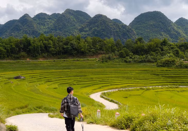 Khi đến bản Đôn, địa điểm được các bạn trẻ yêu thích chụp ảnh chính là cung đường chữ “S”. Đây là con đường nhỏ uốn lượn mềm mại qua những thửa ruộng thơm mùi lúa, mùi cỏ, mang vẻ đẹp khác với cung đường chữ “S” huyền thoại của Mộc Châu.