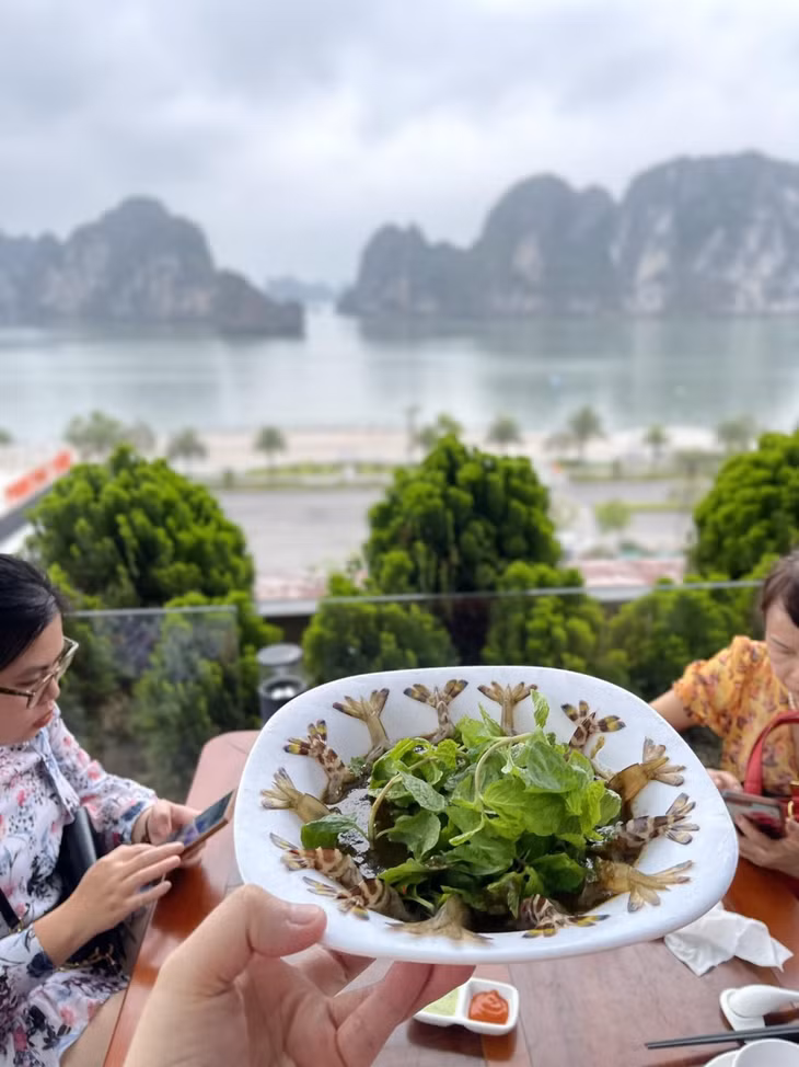 Sổ tay khám phá món ngon "Signature": Gỏi tôm Talata ảnh 1