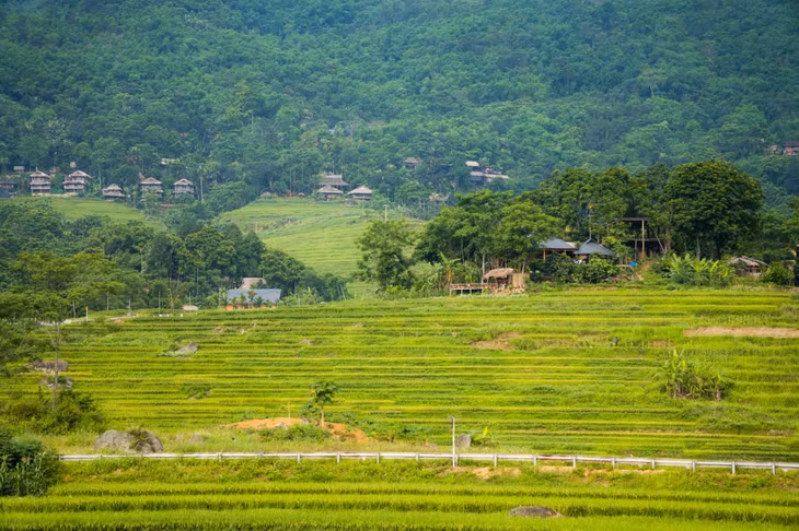 Ở bản Đôn cũng như Pù Luông không ồn ào, nơi đây mang đậm vẻ hoang sơ của vùng quê bình yên vùng biên. Dù đang chuyển hướng sang làm du lịch, người dân địa phương vẫn giữ truyền thống trồng lúa nước, làm thủ công nghiệp và lối sinh hoạt đậm đà bản sắc dân tộc. Điều này tạo nên trải nghiệm mới mẻ cho du khách đi đến bản Đôn.