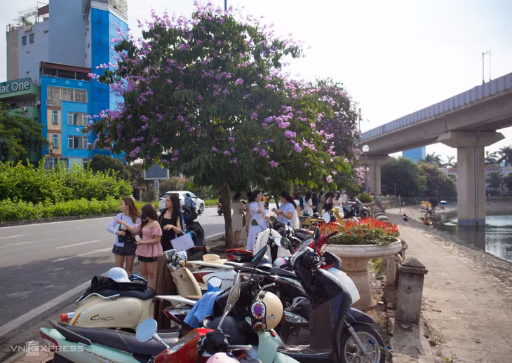 Người Hà Nội chen chân chụp ảnh hoa bằng lăng ảnh 6