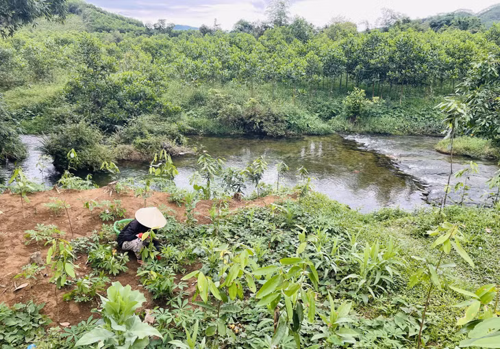 Nhiều diện tích đất nông nghiệp được cấp nước từ các hồ chứa và đập dâng nhỏ trên sông, suối, nên chưa đáp ứng được cho phát triển sản xuất.