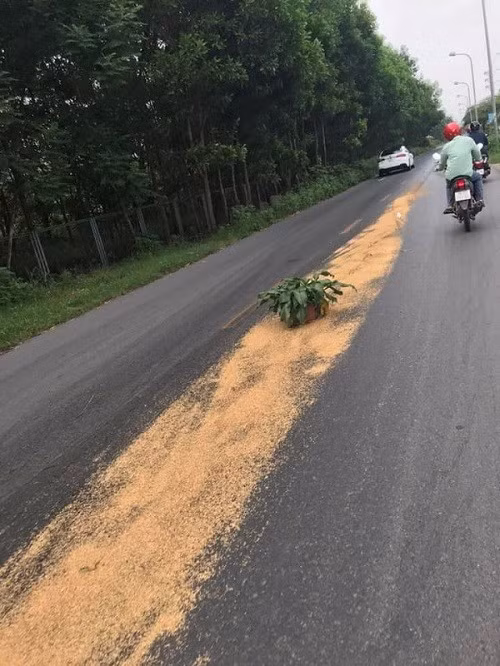 Hiện trường vụ tai nạn. Ảnh: OFFB