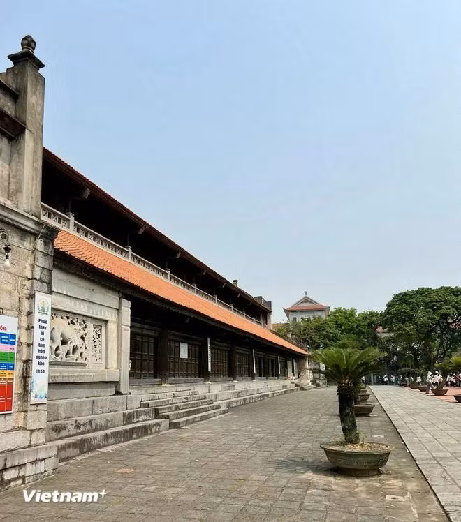 (Ảnh: Vietnam+)