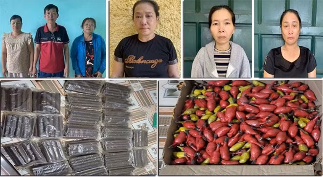 6 đối tượng bị tạm giữ hình sự và các tang vật thu giữ. Ảnh: CATH