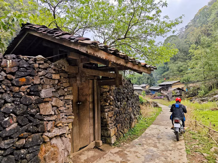 Vẻ đẹp của làng Sảo Há không chỉ được tô điểm bởi khu rừng nguyên sinh cổ thụ, những ngôi nhà Trình tường, những hàng rào đá độc đáo mà còn có khu rừng trúc, những lối đi nhỏ, miếu cổ… khiến ta có cảm giác như được trở về với những thước phim của quá khứ. Ảnh: Khương Minh