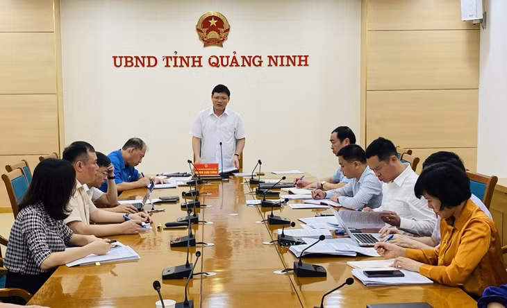 Đồng chí Nghiêm Xuân Cường, Phó Chủ tịch UBND tỉnh phát biểu kết luận tại cuộc họp.