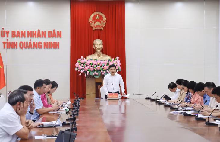 Đồng chí Nghiêm Xuân Cường, Phó Chủ tịch UBND tỉnh phát biểu kết luận buổi làm việc.