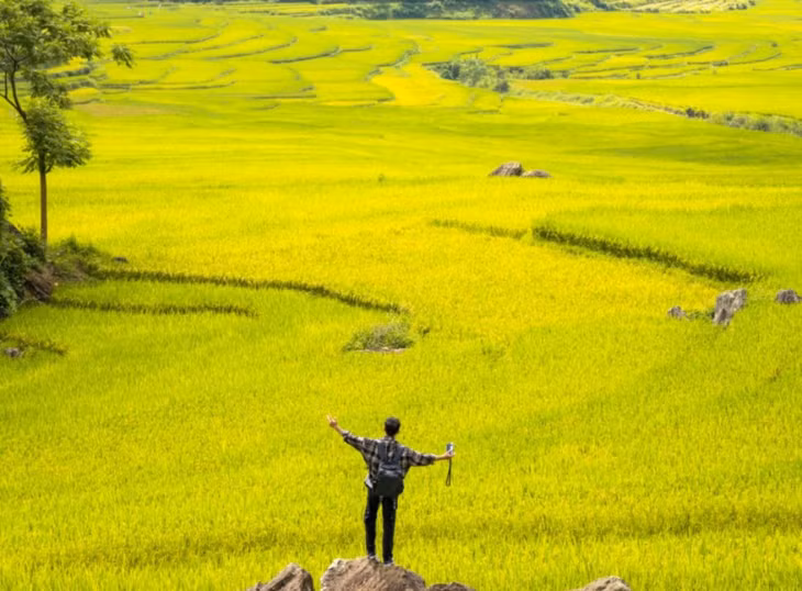 Thời điểm thích hợp nhất để khách du lịch đến Pù Luông từ tháng 5 đến tháng 10. Hiện tại, bản Đôn của Pù Luông đang ở mùa lúa xanh. Nếu muốn ngắm khung cảnh đẹp mơ màng của mùa vàng, chỉ khoảng 2 tuần nữa du khách có thể chiêm ngưỡng đồng lúa chín rộ.