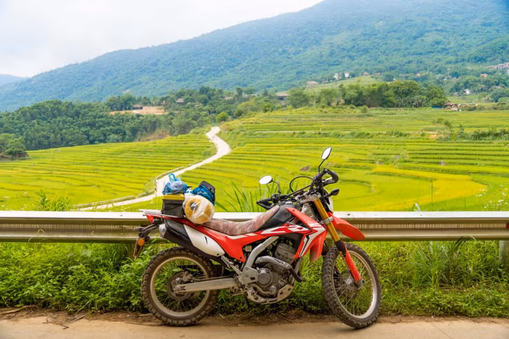 Ngoài khám phá ruộng lúa, cung đường chữ “S”, du khách khi đến bản Đôn còn được chiêm ngưỡng những ngôi nhà sàn truyền thống có kiến trúc độc đáo khó tìm ở Thanh Hóa. Những ngôi nhà sàn ấy thể hiện đặc trưng văn hoá của người dân tộc Thái. Đồng thời, đây cũng là chỗ nghỉ lý tưởng cho khách du lịch ngoài resort và homestay sau những chuyến xe mỏi mệt ngắm cảnh.