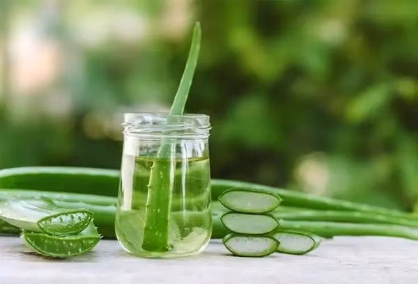 Nước ép lô hội giúp làm dịu đường tiêu hóa và giảm axit dạ dày.