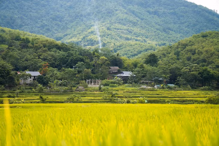 Cách Hà Nội khoảng 160 km, giáp ranh biên giới Việt - Lào, khu bảo tồn thiên nhiên Pù Luông từ lâu là điểm hẹn của những tâm hồn yêu thích sự mộc mạc, yên bình. Với diện tích 17.662 ha, Pù Luông là vùng đất có rừng rậm, suối thác lớn nhỏ, hang động và núi non xen lẫn những bản làng yên bình.