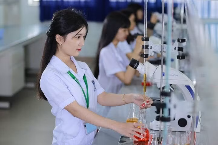 Nhiều trường đại học Y dược sử dụng môn Ngữ văn để xét tuyển đại học 2024