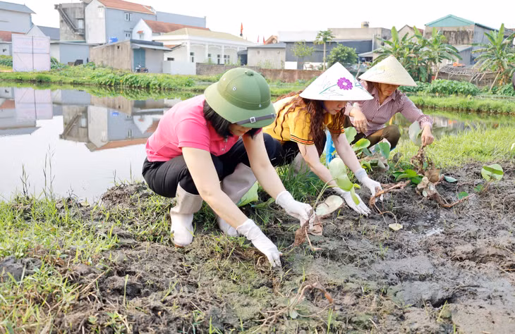 Ngay tại buổi ra quân, các đại biểu và Nhân dân đã xuống giống 4.800 cây sen thuộc các dòng chất lượng cao như sen Quan âm trắng, Super hồng, Super đỏ.