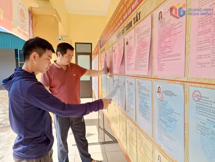 Cử tri xã Ba Chẽ tích cực tìm hiểu thông tin các ứng cử viên trước ngày bầu cử. Ảnh: Phạm Lợi (CTV)