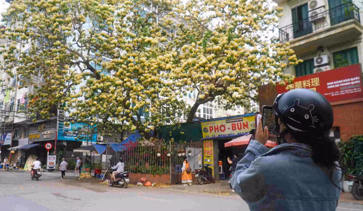 Bạn Lương Quỳnh Hương, di chuyển từ Cầu Giấy đến Đình Thôn, để kịp ghi lại những khoảnh khắc đẹp nhất của mùa hoa năm nay.