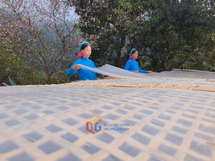 Bà con Bình Liêu phơi miến dong.