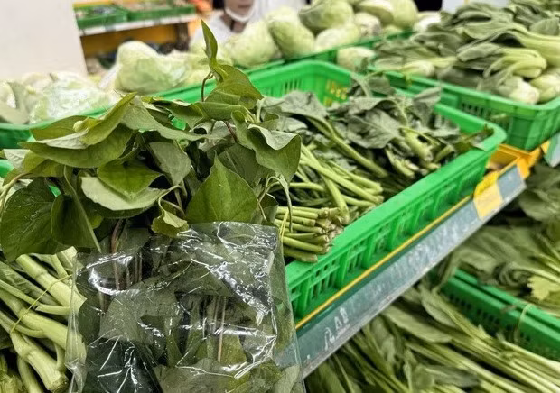 Mặc dù là nước nhiệt đới nhiều rau trái, nhưng người Việt lại chưa ăn đủ lượng rau trái như khuyến cáo dinh dưỡng - Ảnh minh họa