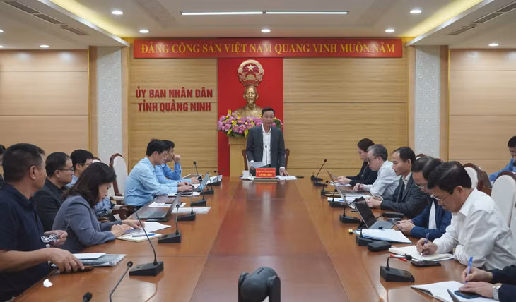 Đồng chí Phó Chủ tịch UBND tỉnh Lê Văn Ánh phát biểu chỉ đạo tại cuộc họp.