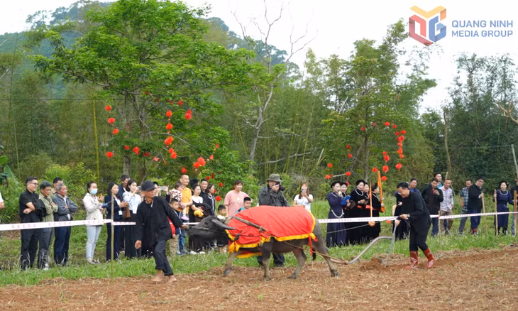 Tái hiện lễ Lồng tồng (xuống đồng) để cầu cho mùa màng bội thu của đồng bào Tày.