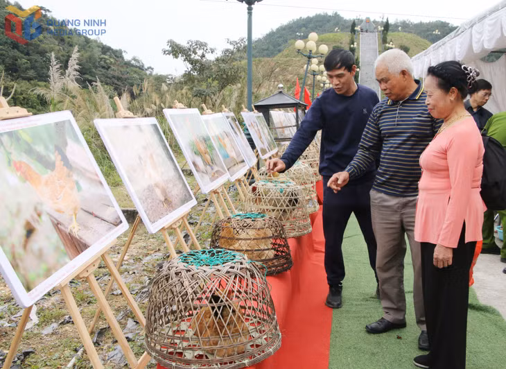 Người dân, du khách thích thú với hội thi 