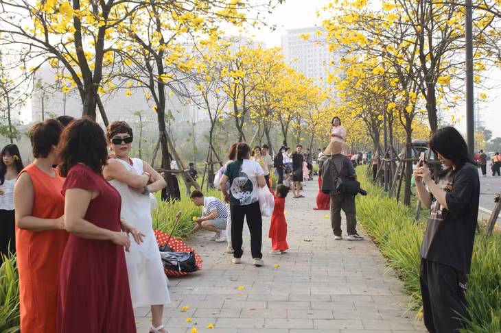 Thời điểm chụp ảnh phù hợp với con đường hoa phong linh là từ 7h - 9h khi nắng sớm còn dịu nhẹ, hoặc 15 h- 17h. Người dân và du khách có thể lựa chọn áo dài hoặc những bộ trang phục màu sắc rực rỡ để có những bức ảnh đẹp nhất với hoa phong linh và hoa gạo.
