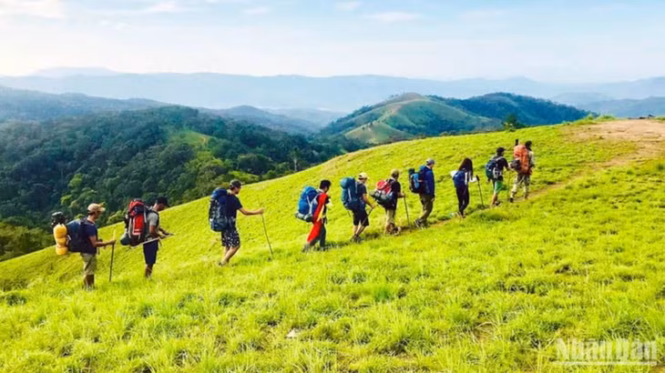 Du khách trải nghiệm cung trekking Tà Năng-Phan Dũng. (Ảnh: MAI VĂN BẢO)