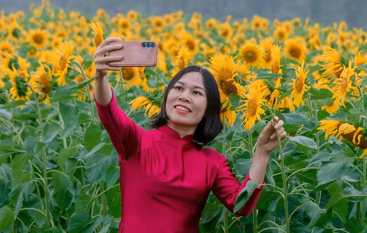 Theo chủ vườn, dù mới trồng nhưng cây sinh trưởng tốt, cho hoa to, đều và màu sắc bắt mắt, nhanh chóng thu hút sự chú ý của người dân địa phương. Nhiều gia đình tranh thủ dịp cuối tuần đến tham quan, ghi lại những khoảnh khắc đáng nhớ giữa cánh đồng hoa vàng rực. “Gia đình tôi vào thăm quê Bác, được giới thiệu vườn hoa nên ghé xem. Không ngờ giữa cánh đồng lại có không gian rực rỡ như vậy”, chị Hồ Thị Linh (du khách Hà Nội) chia sẻ.