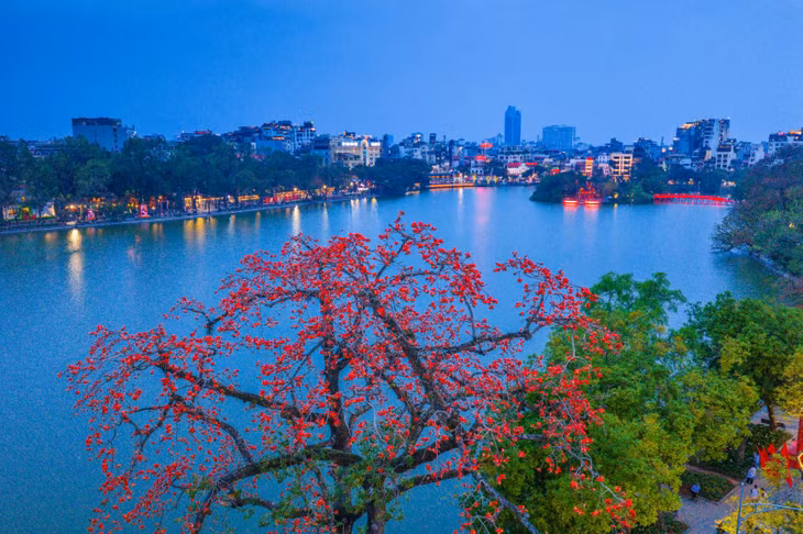 Nguyễn Khánh Vũ Khoa (40 tuổi) sống ở TP HCM, từ một dân “tay ngang” trở thành nhiếp ảnh gia chuyên nghiệp, anh đam mê khám phá những góc ảnh đời sống từ thành thị tới nông thôn. Trung tuần tháng 3, anh lần đầu “săn ảnh” mùa hoa gạo ở miền Bắc. Cây gạo cổ thụ ở Hồ Gươm là địa điểm đầu tiên anh ghé đến.