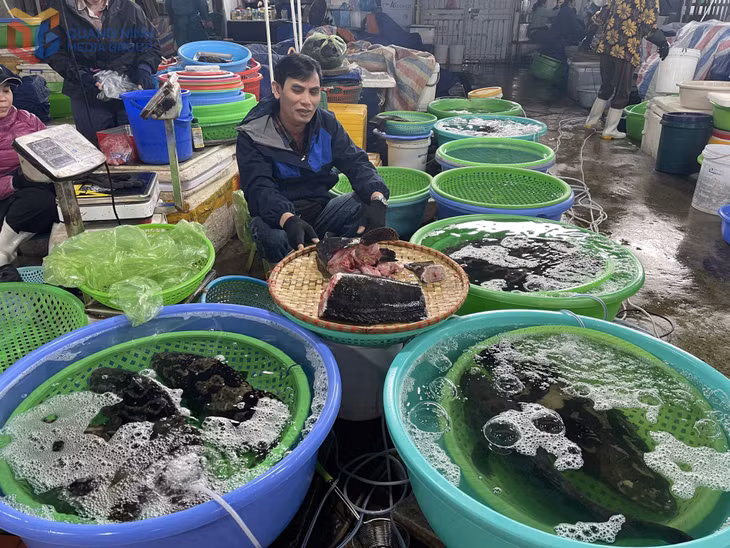 Giá nhiên liệu tăng đã tác động trực tiếp đến chi phí khai thác, vận chuyển, khiến giá bán hải sản tăng khoảng 10% so với trước.