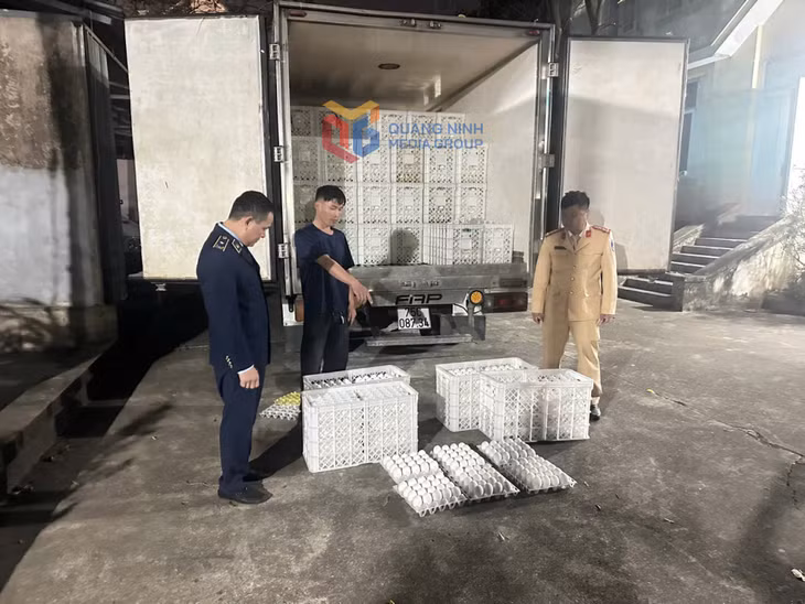 Đội Quản lý thị trường số 4 (Chi cục Quản lý thị trường Quảng Ninh) phối hợp với Đội CSGT đường bộ số 3 (Phòng Cảnh sát giao thông, Công an tỉnh) bắt giữ Bùi Đức Thành, trú tại xã Quảng Đức vận chuyển trái phép 28.800 quả trứng gia cầm ngày 20/2/2026. 