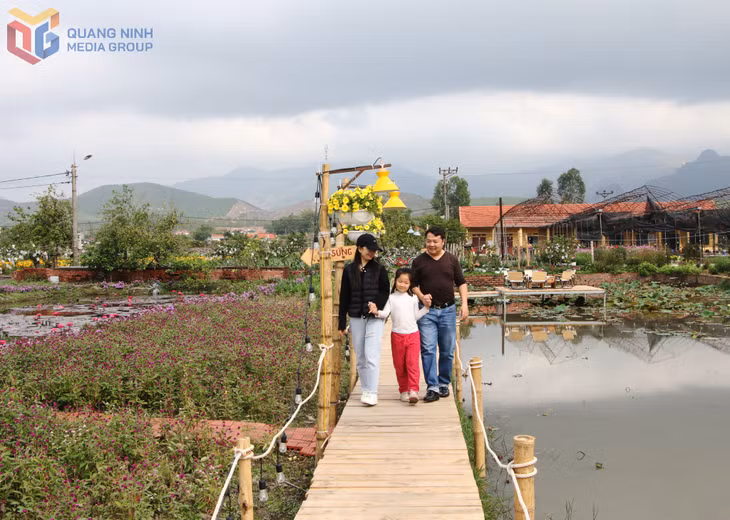 Sắc hoa rực rỡ tô điểm khắp nông trại để mỗi gia đình lưu lại những khoảnh khắc đẹp bên nhau. 
