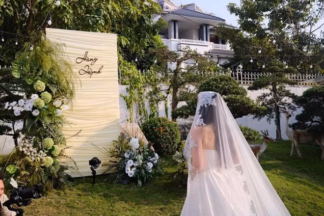 Lời chúc 8/3 giản dị mà sâu sắc dành cho người thương. Ảnh minh họa: Huyền Trang
