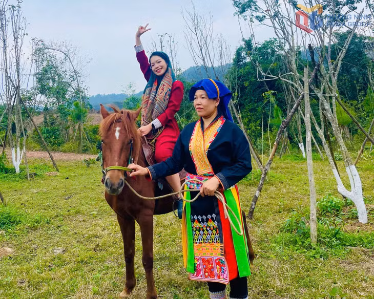 Du khách trải nghiệm cưỡi ngựa tại khu du lịch Kỳ Thượng &nbsp;Am Váp Farm (thôn Khe Phương).