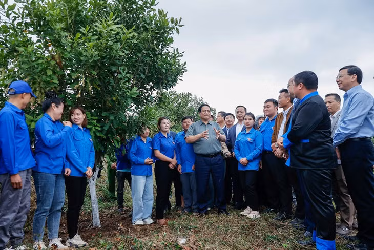 Thủ tướng Chính phủ yêu cầu địa phương làm tốt việc quy hoạch; không trồng nhỏ lẻ mà phải liên kết, tìm thị trường - Ảnh: VGP/Nhật Bắc