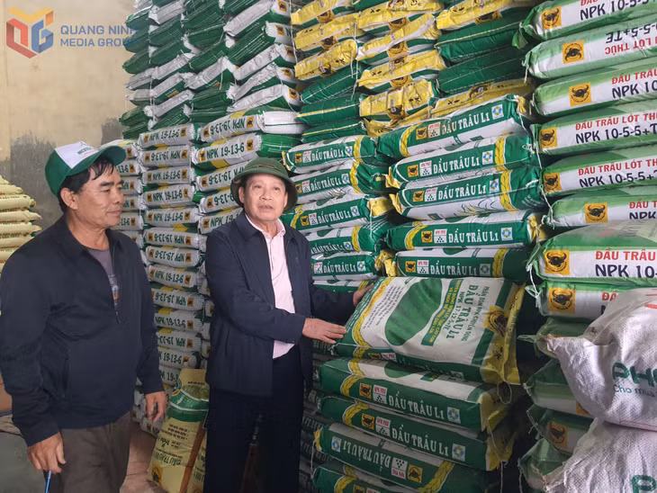 Cửa hàng vật tư Minh Hiếu (khu 1, phường Đông Triều) đảm bảo nguồn cung phân bón.