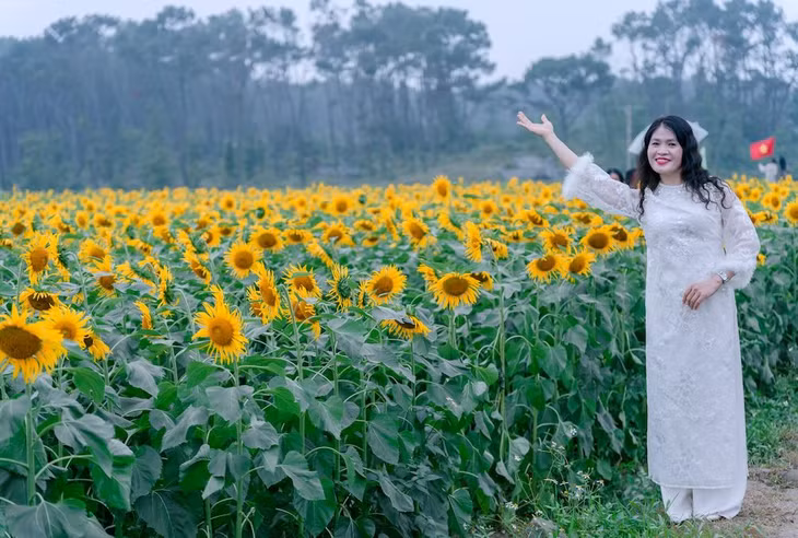 Chủ vườn kỳ vọng mô hình sẽ góp phần quảng bá nông sản địa phương như ngô tím, dưa lưới, rau trồng nhà màng… tới du khách. Tuy nhiên, khi hoa kết hạt, khu vườn sẽ tạm ngừng đón khách để phục vụ thu hoạch.