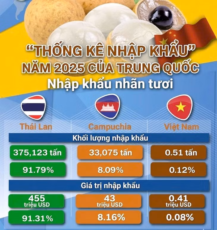 Biểu đồ thể hiện sản lượng quả nhãn xuất khẩu vào thị trường Trung Quốc năm 2025. Ảnh đồ họa: Nguyễn Phước Tuyên