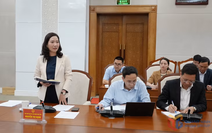 Đồng chí Nguyễn Thị Hạnh, Phó Chủ tịch UBND tỉnh, phát biểu tại cuộc họp.