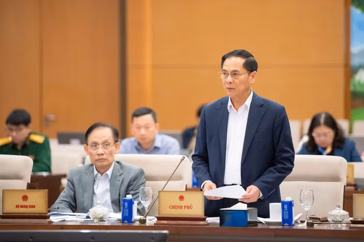 Phó Thủ tướng Chính phủ Bùi Thanh Sơn phát biểu ý kiến. (Ảnh: DUY LINH)