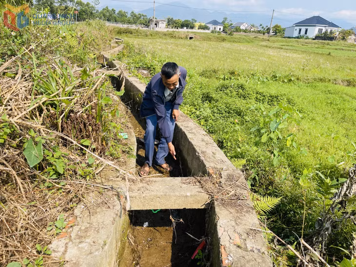 Nhiều đoạn kênh tưới tiêu trên địa bàn thôn Tân Mai, xã Đầm Hà bị rò rỉ, thất thoát nước gây khó khăn trong sản xuất nông nghiệp. 