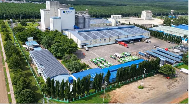 Nhiều doanh nghiệp mở rộng đầu tư vào lĩnh vực chăn nuôi tại Việt Nam. Ảnh: De Hues