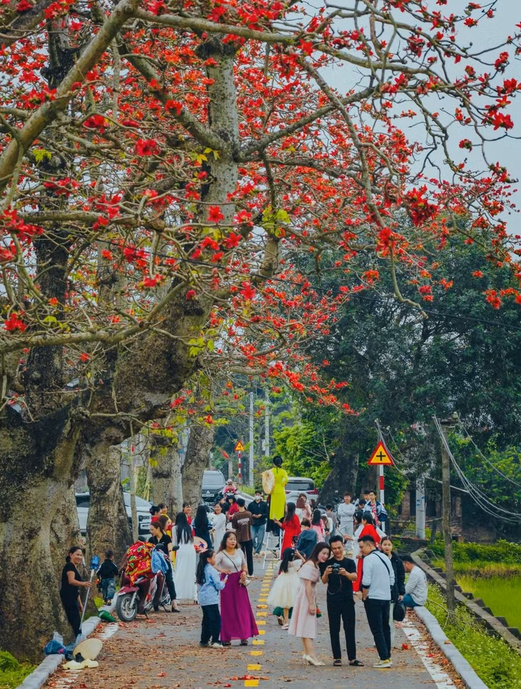 Thôn Đoan Nữ những ngày này thu hút không chỉ nhiếp ảnh gia mà cả các nhóm bạn trẻ, nhóm du khách đến tham quan, chụp ảnh lưu niệm. Nhờ sự lan tỏa trên các mạng xã hội, du khách tới đây ngày một đông, đặc biệt vào dịp cuối tuần.