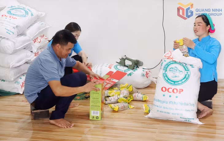 Anh La A Nồng cùng thành viên HTX Đình Trung đóng gói các sản phẩm miến dong Bình Liêu.