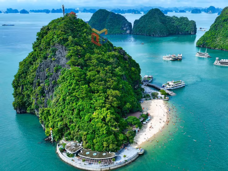 Những chuyến tàu đưa du khách tham quan và trải nghiệm các điểm đến cuốn hút trên vịnh di sản.